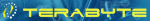 Логотип сервисного центра Terabyte